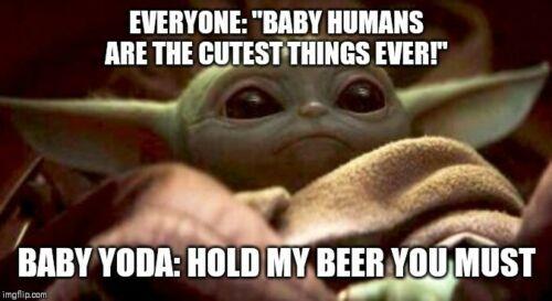 EVERYONE: "BABY HUMANS
ARE THE CUTEST THINGS EVER!"
BABY YODA: HOLD MY BEER YOU MUST
imgflip.com