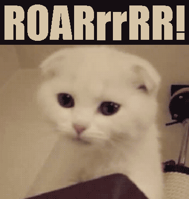 ROARrrRR!