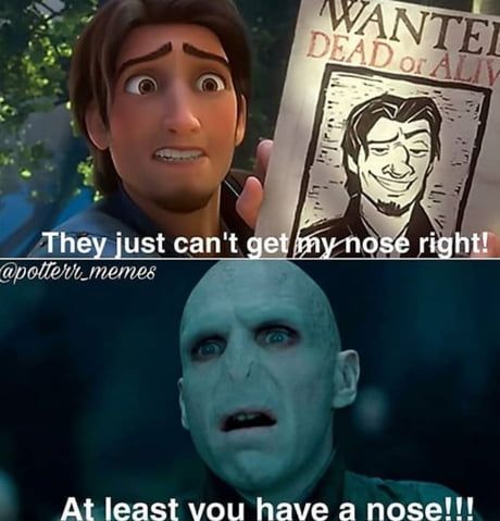 WANTEL
DEAD or ALIY
They just can't get my nose right!
@potterr_memes
At least you have a nose!!!