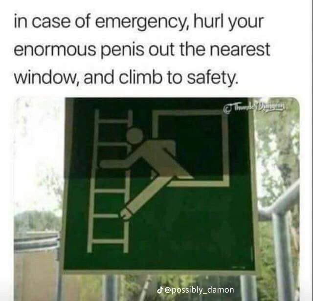 in case of emergency, hurl your
enormous penis out the nearest
window, and climb to safety.
LTII
Thunde Drangran
d@possibly_damon
