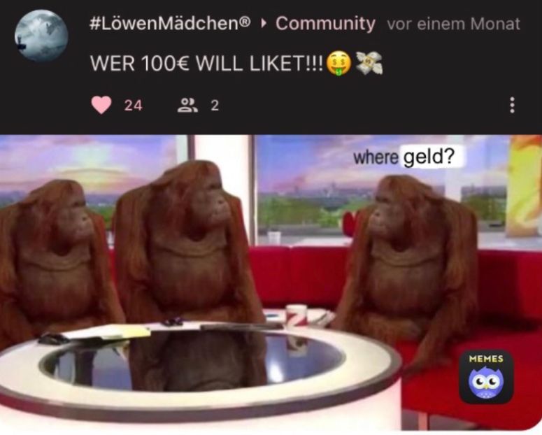 #LöwenMädchen® ▸ Community vor einem Monat
WER 100€ WILL LIKET!!!
24 92
N
where geld?
MEMES
CO