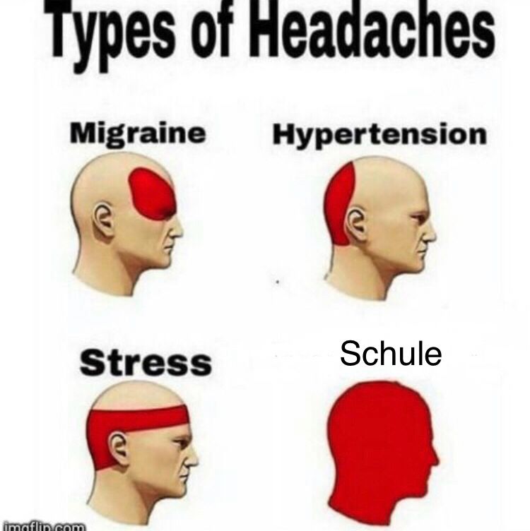 Types of Headaches
Migraine Hypertension
Stress
imgflin.com
Schule