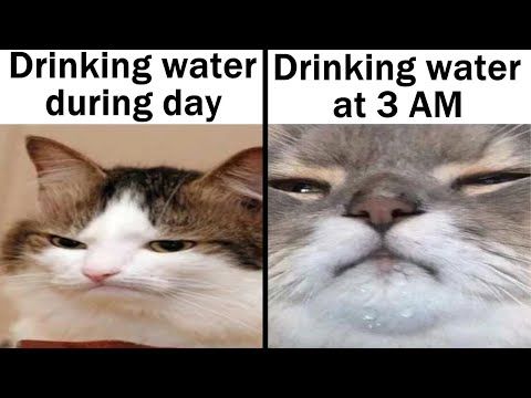 Drinking water Drinking water
during day
at 3 AM