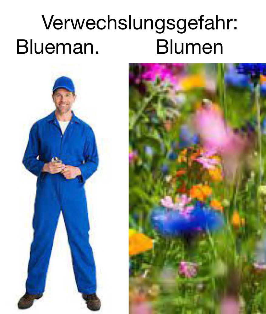 Verwechslungsgefahr:
Blueman.
Blumen