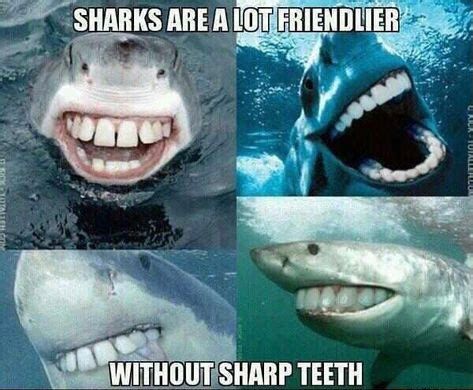 SHARKS ARE A LOT FRIENDLIER
WITHOUT SHARP TEETH
UKICK-10TALLERCO