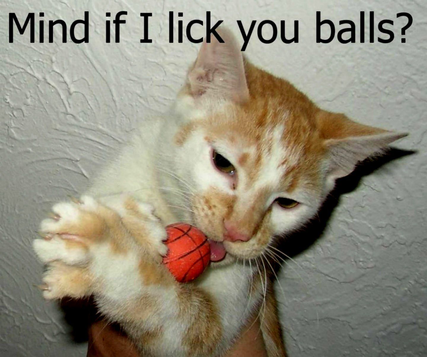 Mind if I lick you balls?