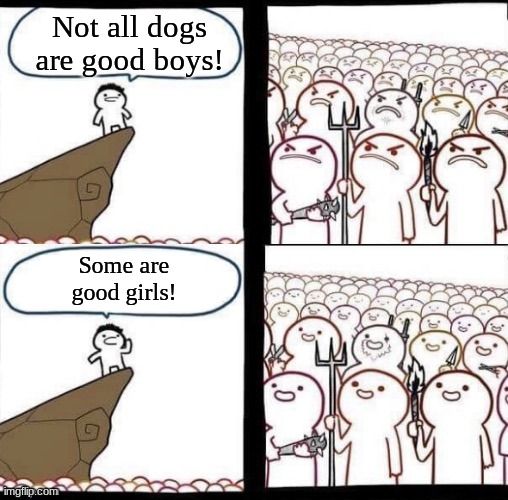 Not all dogs
are good boys!

Some are
good girls!