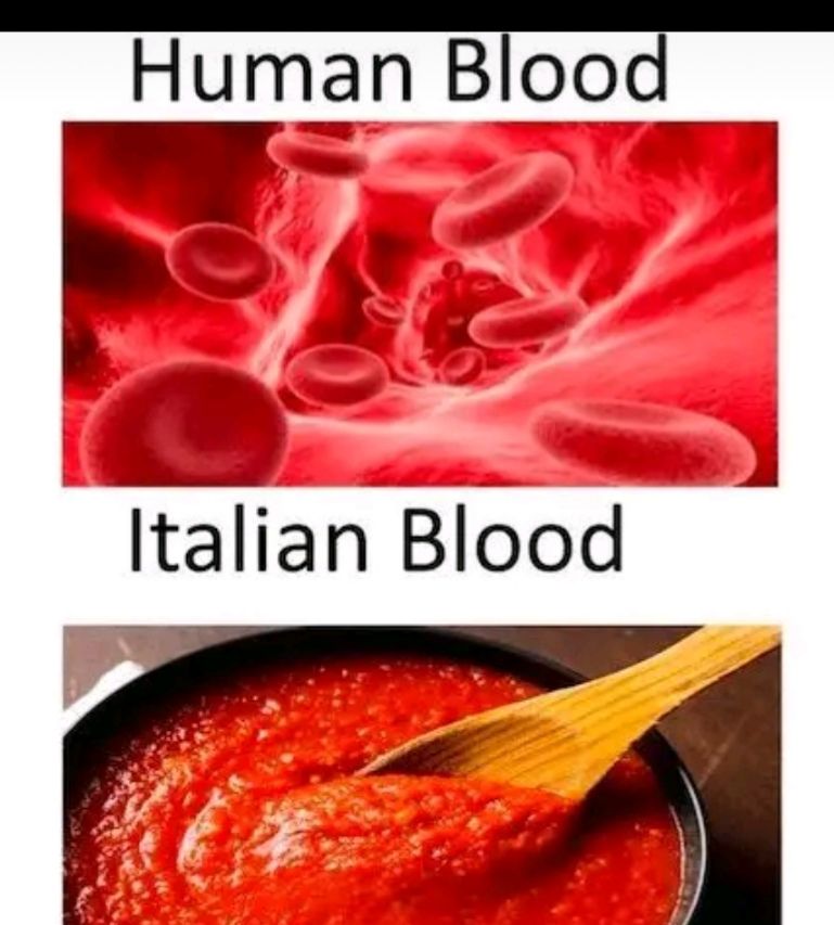 Human Blood
Italian Blood