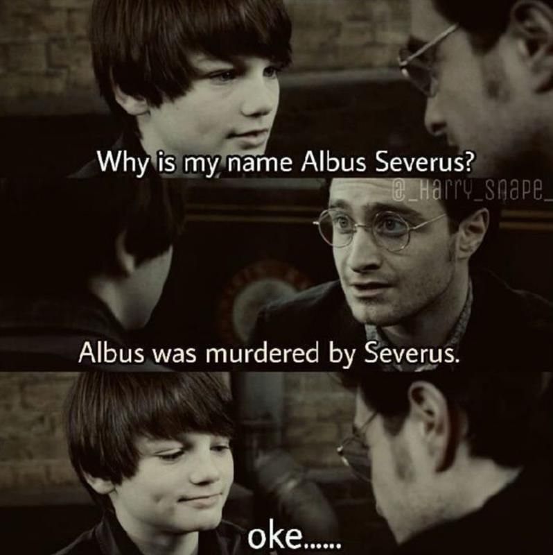 Why is my name Albus Severus?
@_Harry_snape_
Albus was murdered by Severus.
oke......