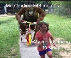 Me sending 348 memes
My friends trying
to sleep
