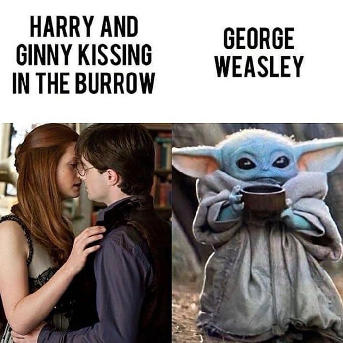 HARRY AND
GINNY KISSING
IN THE BURROW
GEORGE
WEASLEY