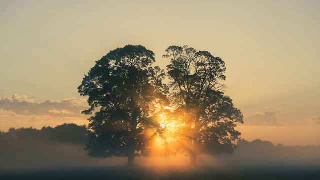 Arise