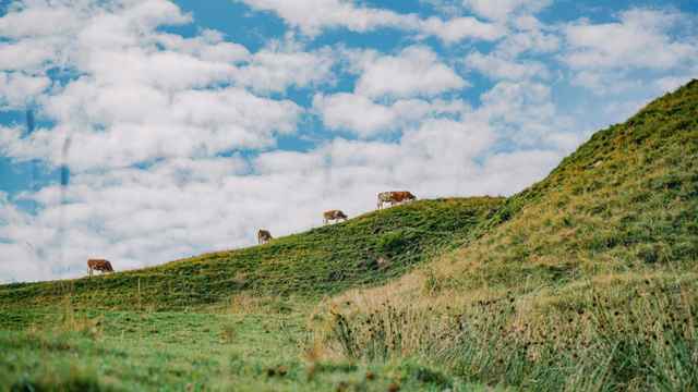 Bayrischer Mistwagen