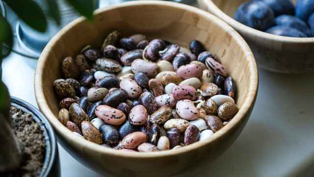 Bean