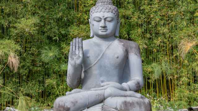 Buddhabrot