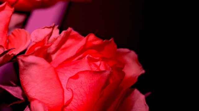 Einverständniserklärung