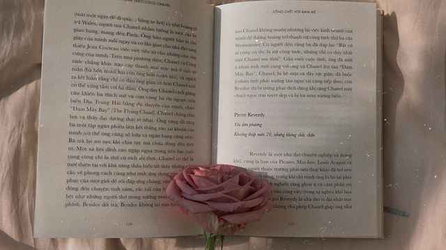 Guinness Buch der Rekorde