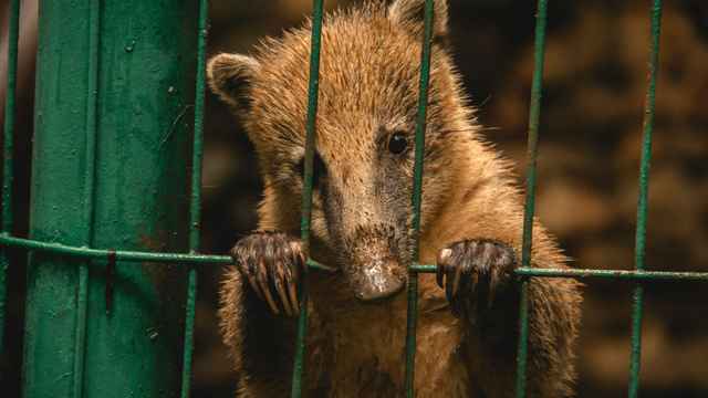 Gute Zeiten, schlechte Zeiten
