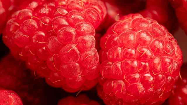 Himbeermarmelade