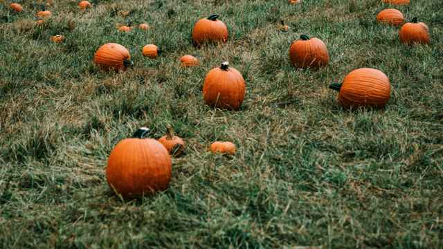 October