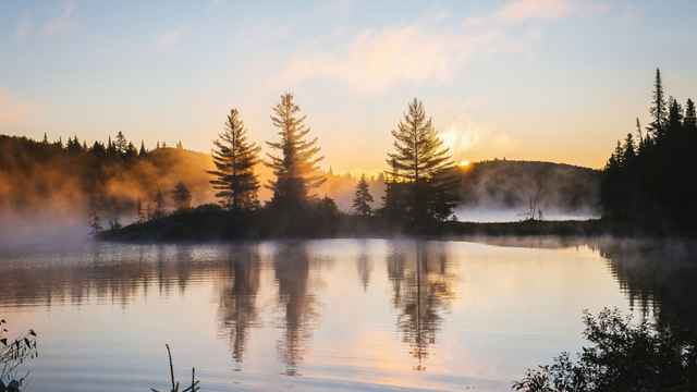 Reflection