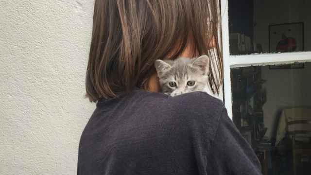 Reifliche Überlegung