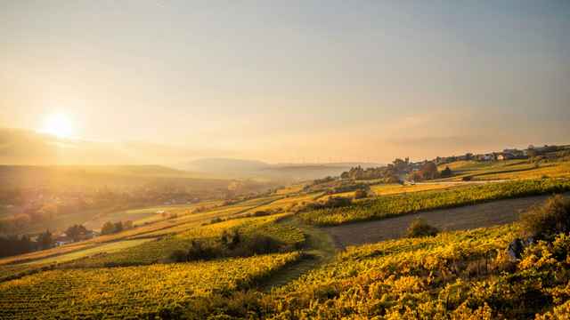 Rheinland-Pfalz