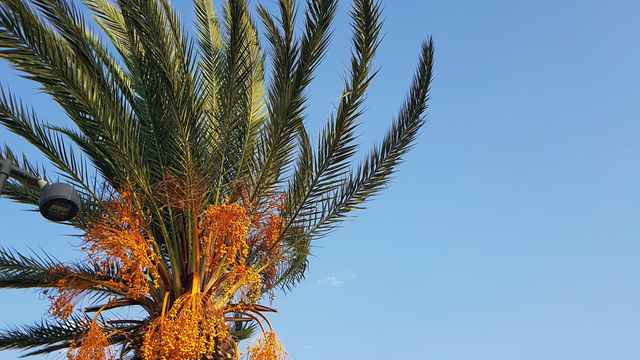 Risiken und Nebenwirkungen