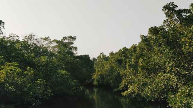 Senegal