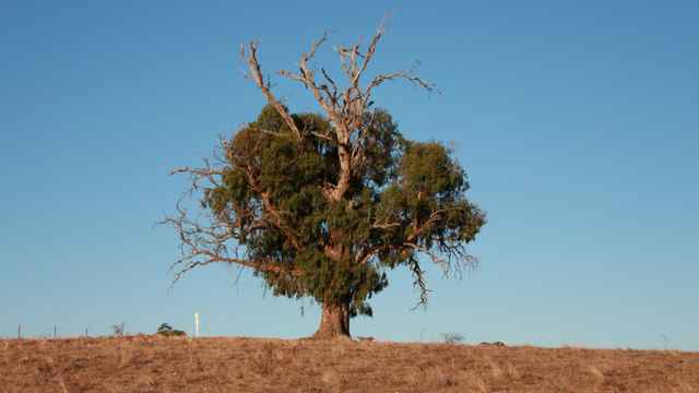 Sprüche zum Nachdenken